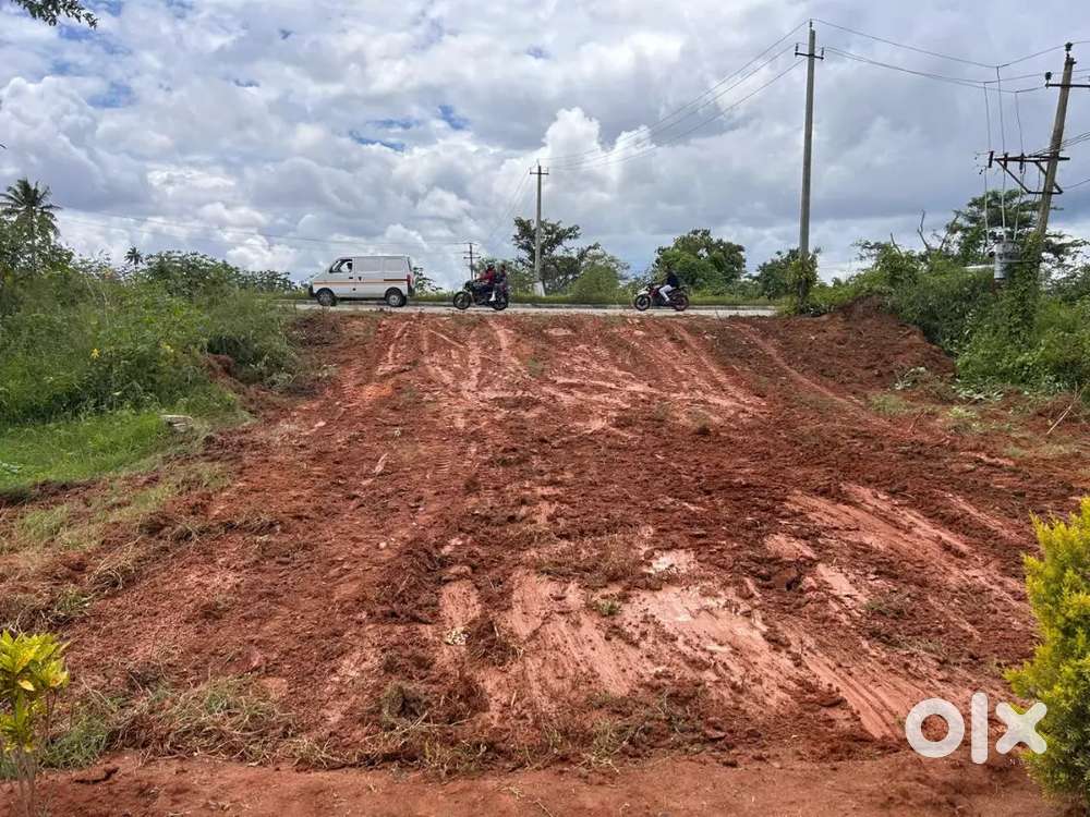 Royal sky properties