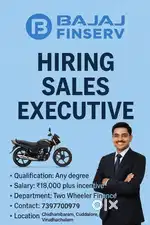 Sales executive