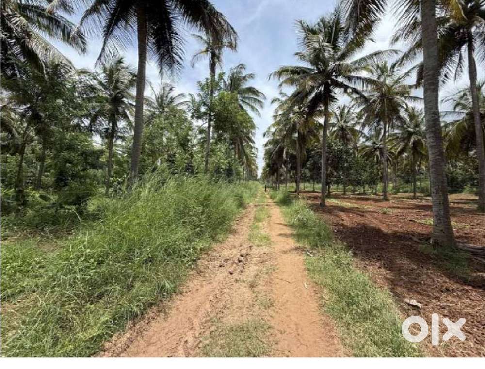 30 Acres of Land for Sale – Hunasuru, Mysore District