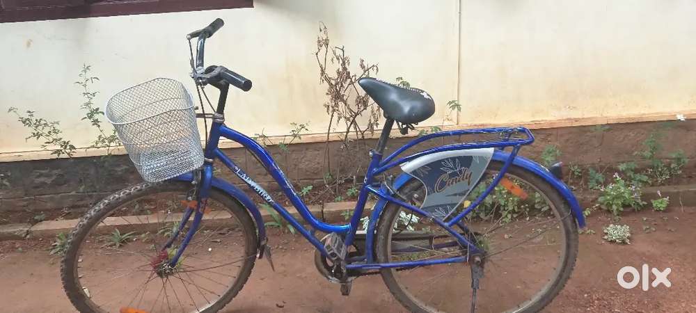 Lady bird no complaint