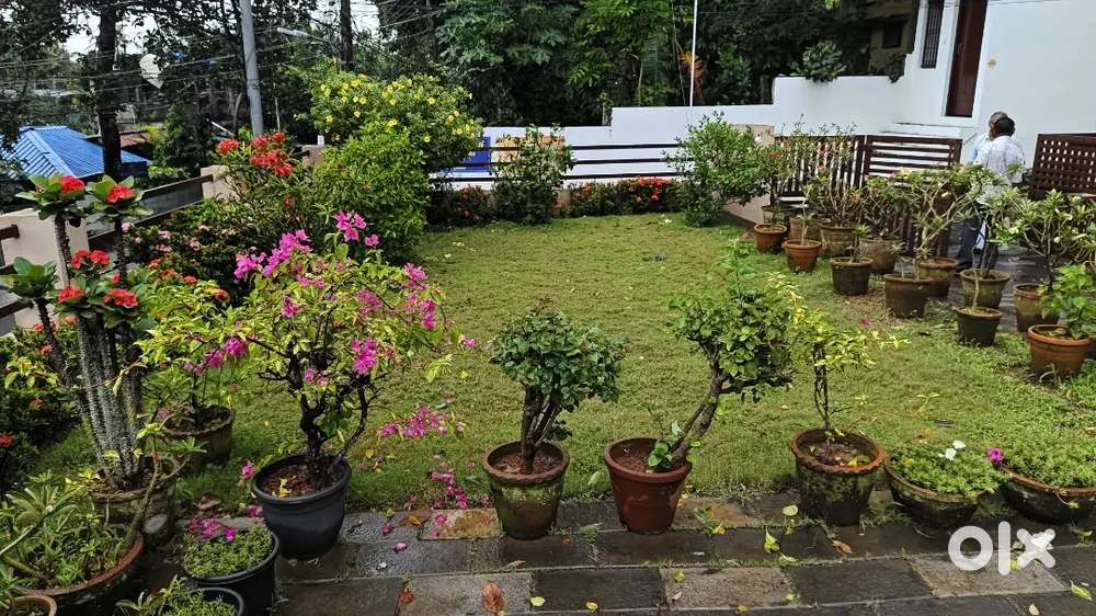 Maruthankuzhy 13 Cent Commercial land +2000 sqft 3 BHK,Rs.2.5 Cr Fixed