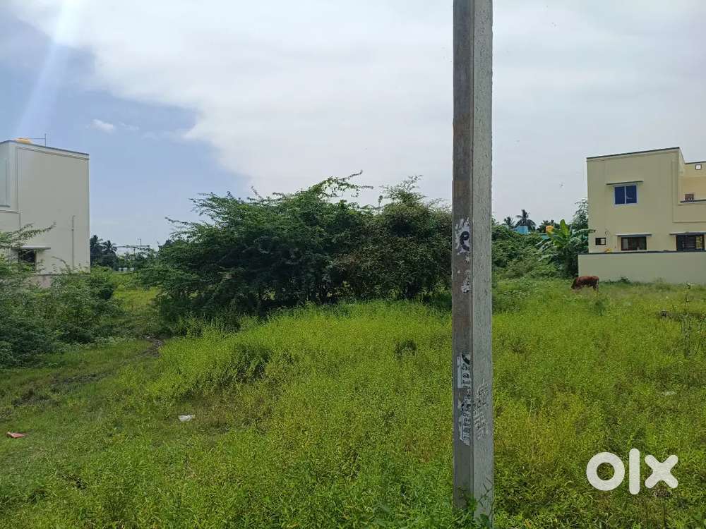 Plot for sale at Latheri Samundeeswari Nagar Plot