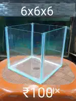 6x6x6 inch Aquarium Fish Tank