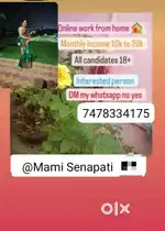 Work from home opportunity Digital Business