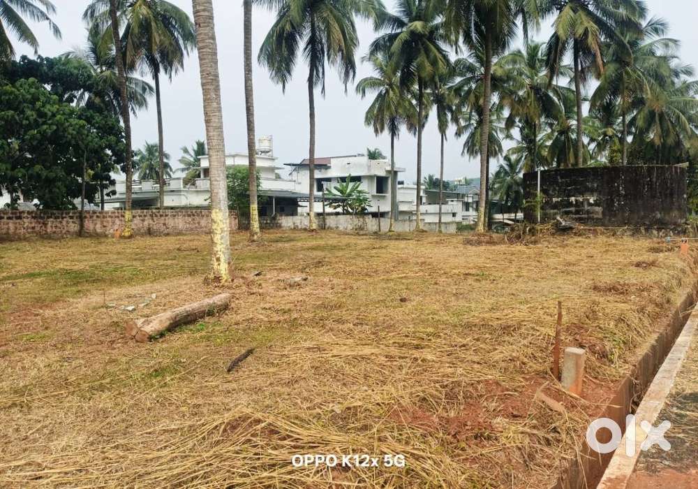 8 cent house plot for sale in Mannarkkad
