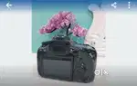 Canon 90d good working condition aur ek  nikin ka z 5 bhi hai bechna h
