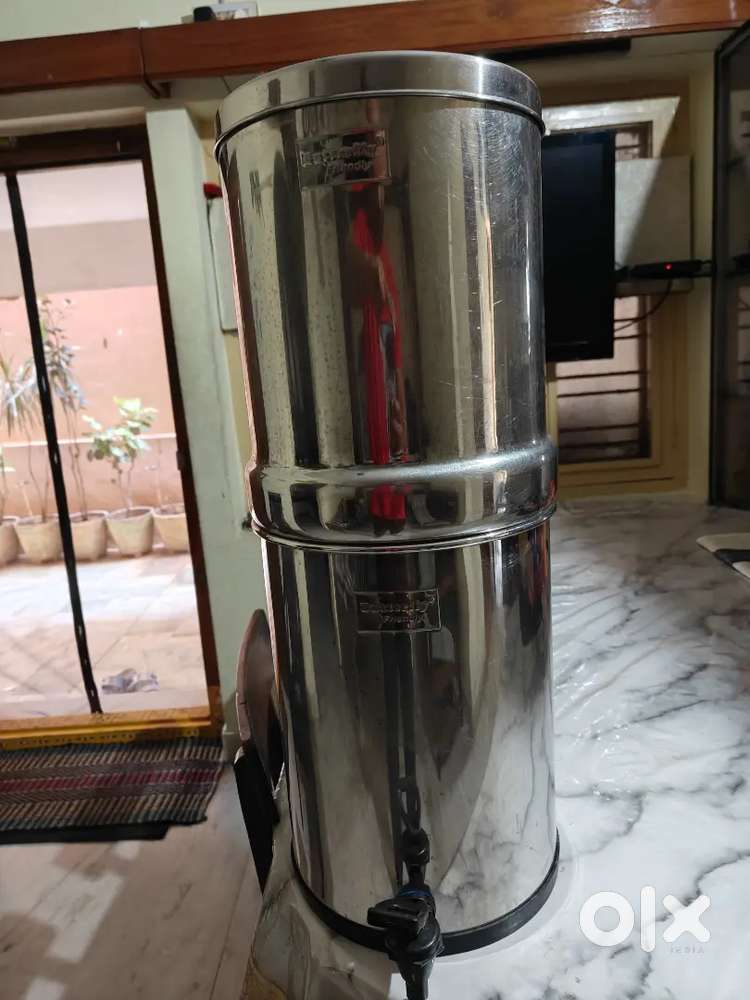 Water filter and purifier