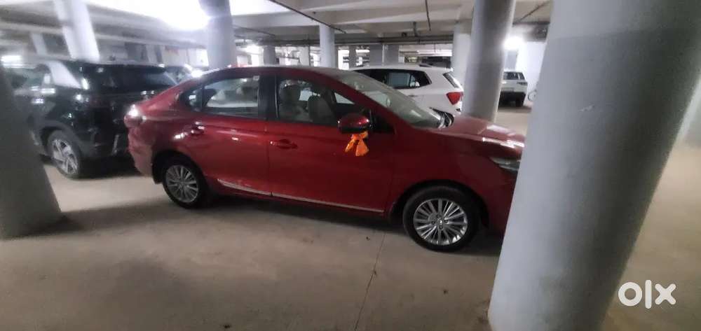 Car rental for marriage and rental