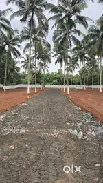 Mundur Plot