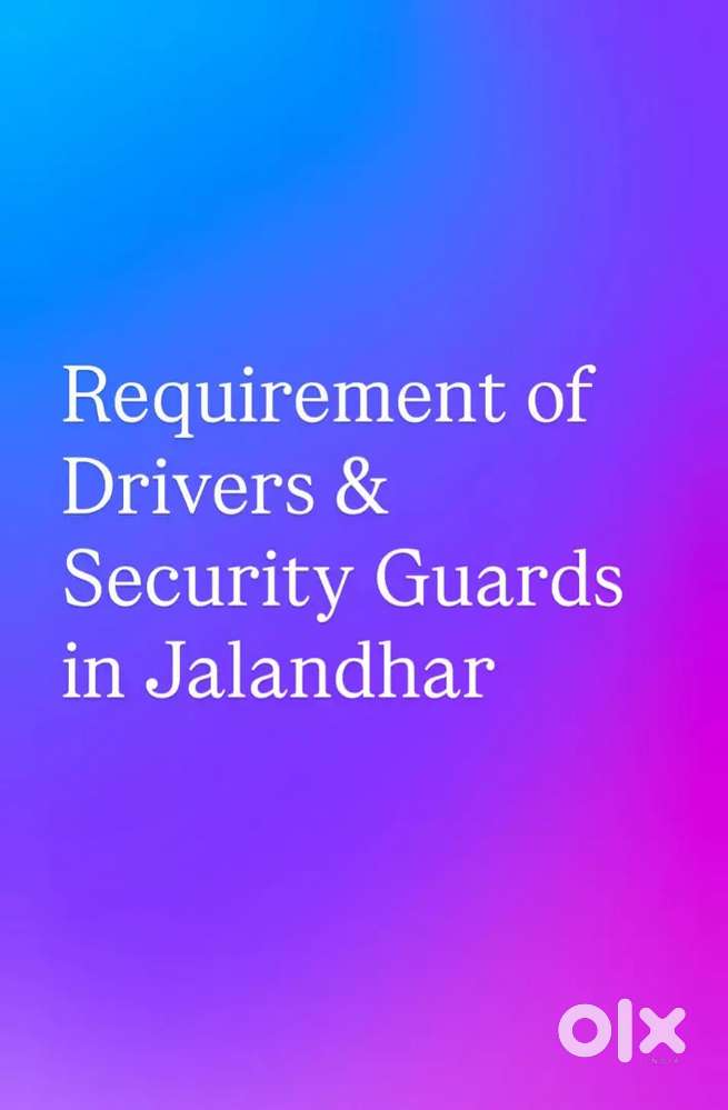 We Need Responsible driver from jalandhar Or near by
