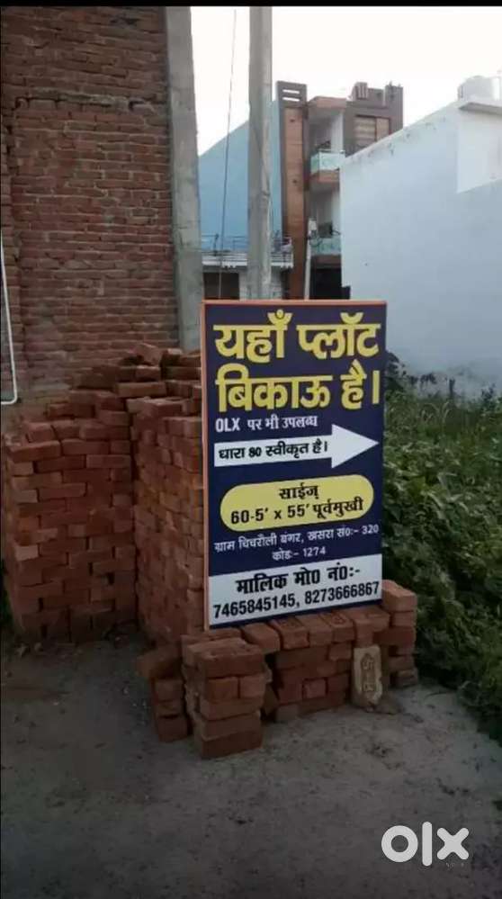 Plot for Sale,Indralok colony,Gate no.4, 5thcrossroad,Bijnor (UP)