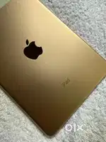 Ipad mini 4