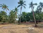 70 Gunta Farm Land for Sale  ₹1.75 Cr  Murud Janjira  Wave