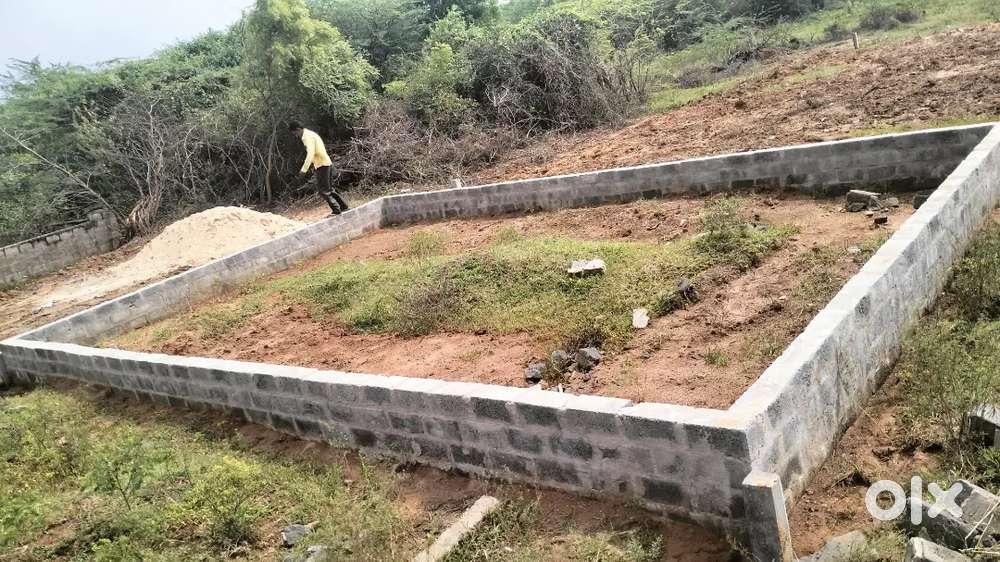 స్పీడ్ డెవలప్ యారియా