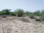 200 gaj socity plot at dadanpura near shivdaspura