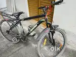 Gang New Cycle
