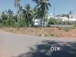 ചെറുന്നിയൂർ സ്ക്വയർ പ്ലോട്ട് വില്പനയ്ക്ക്.