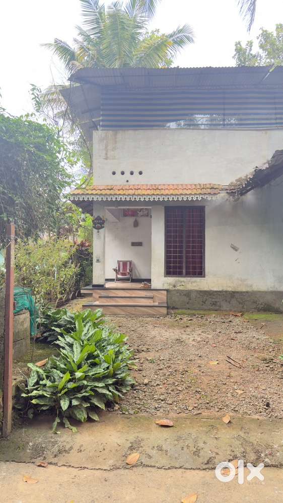 10 cent plot with house