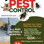 Icon Pest Control & Pigeon Netting Services
