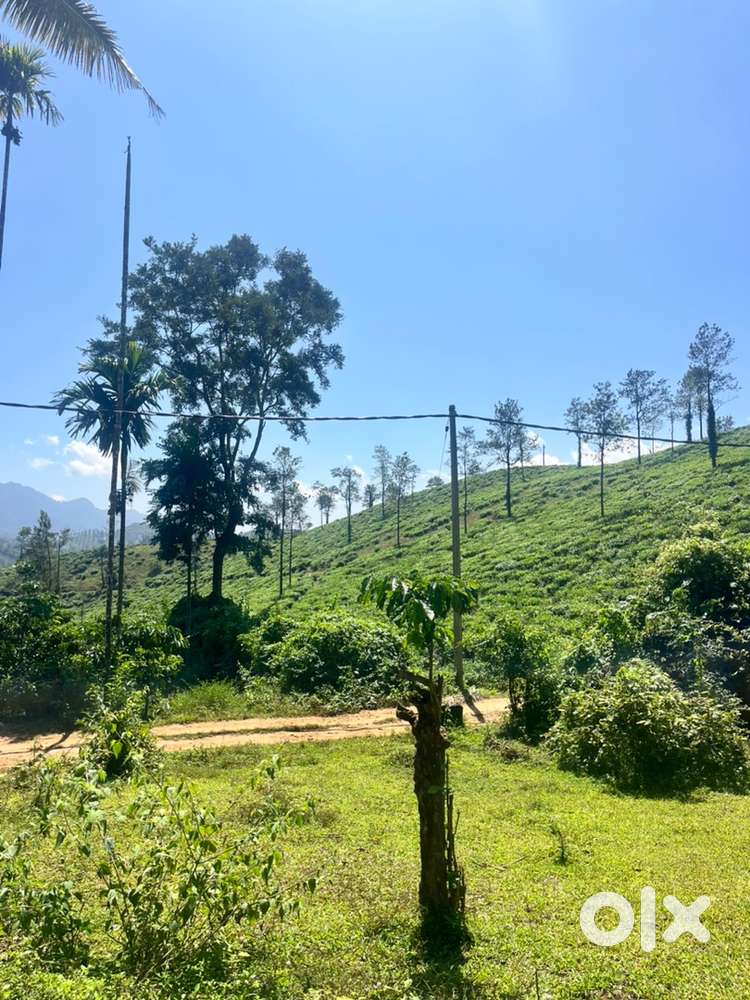 Wayanad vythiri near 1.19 acre beautyfull view point land selling