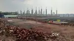 Open Plots for sale in Pamarru