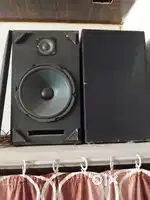 10 inch high performance Speaker