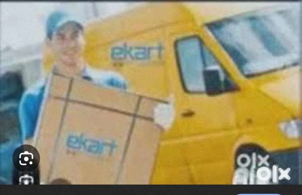 Parcel van helper