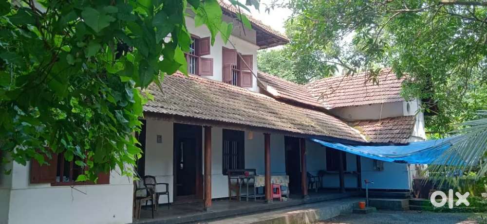 23 cent property and house near amritha school, kuthuparamba
