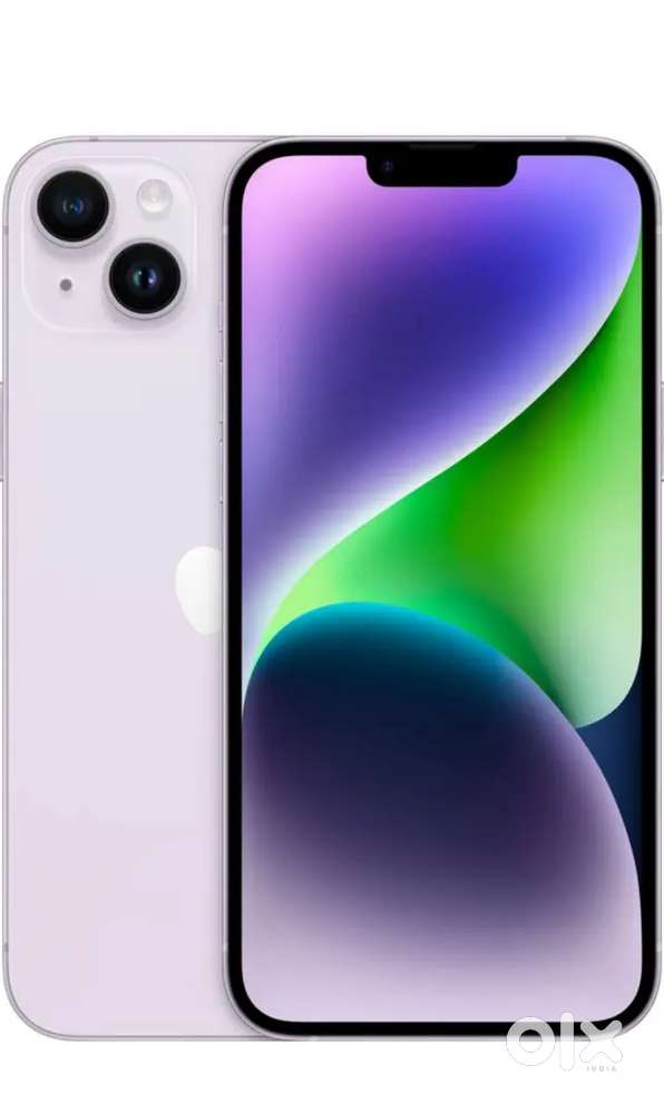 14+ 256 purple