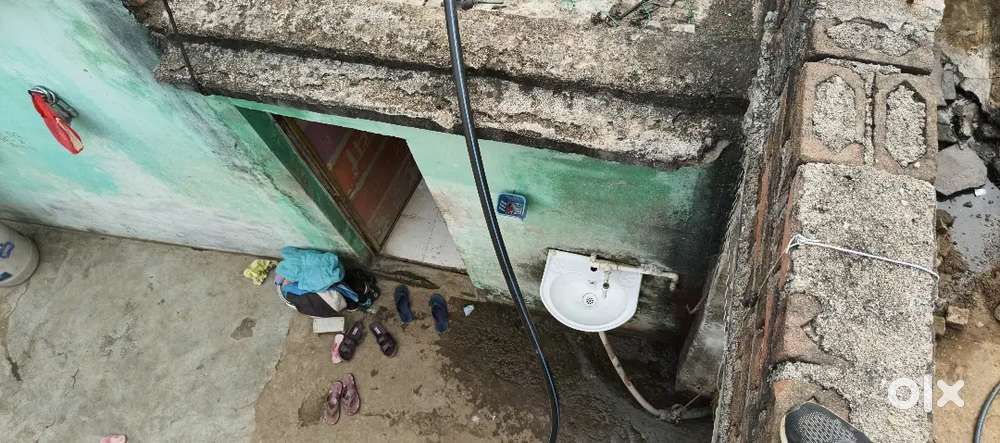 New makan banana hai