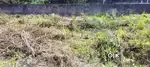 10 CENT  PRIME RESIDENTIAL PLOT FOR SALE NEAR KURAVANKONAM
