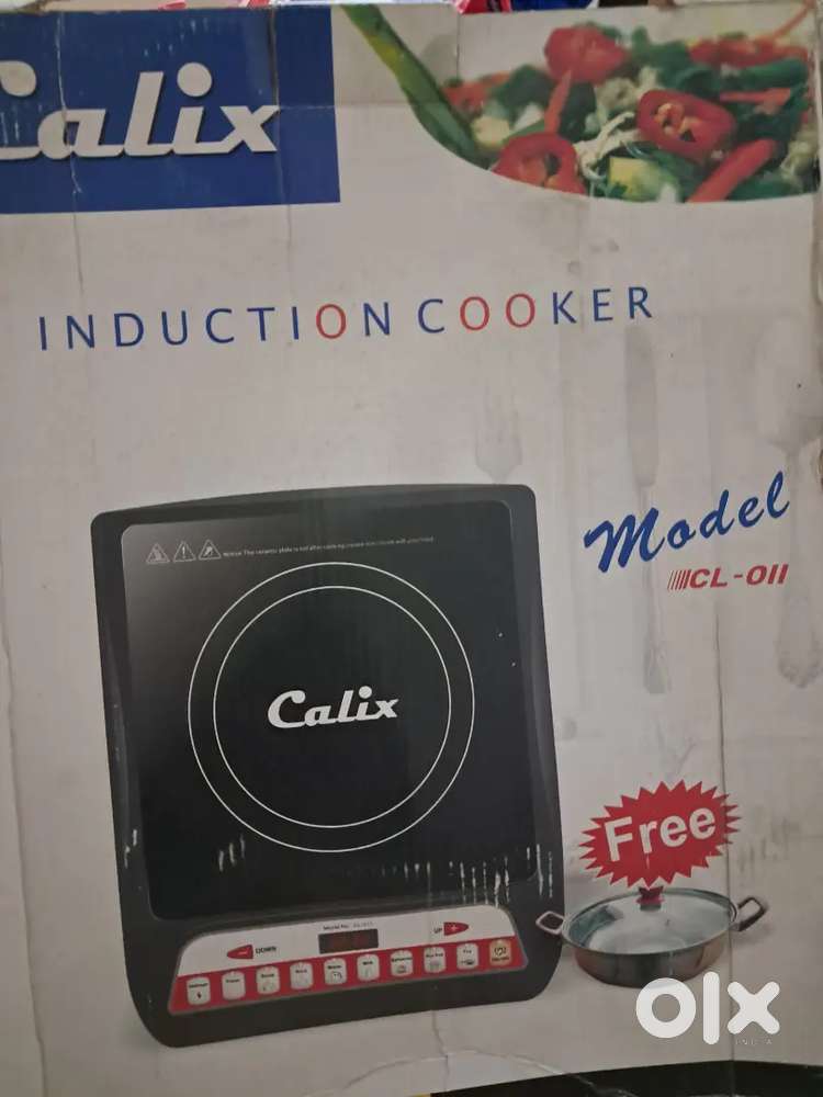 Induction Cooker