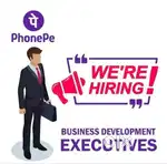 Phonepe Sales Executive