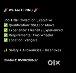 Collection executive