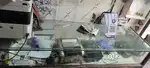 Mobile shop only counter price. Mere pass counter hi hai