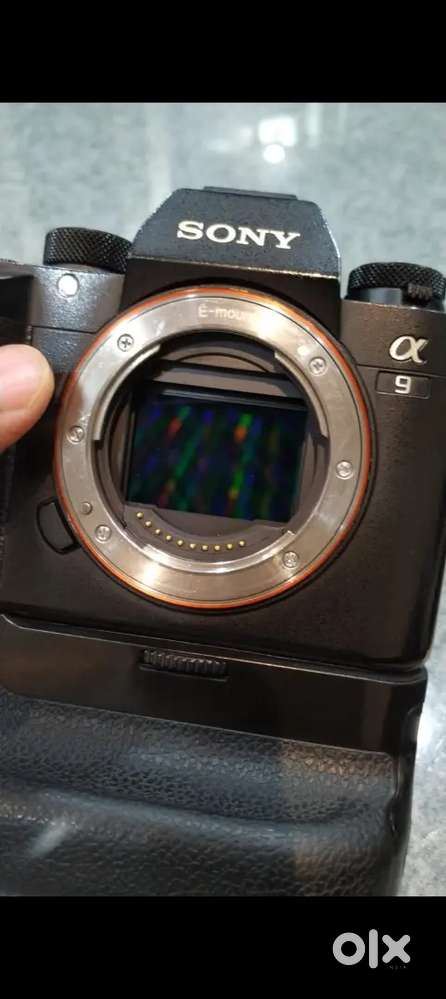 Sony camera a9 and a7sii