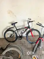 Avon Cycle