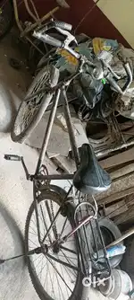 Avon Cycle