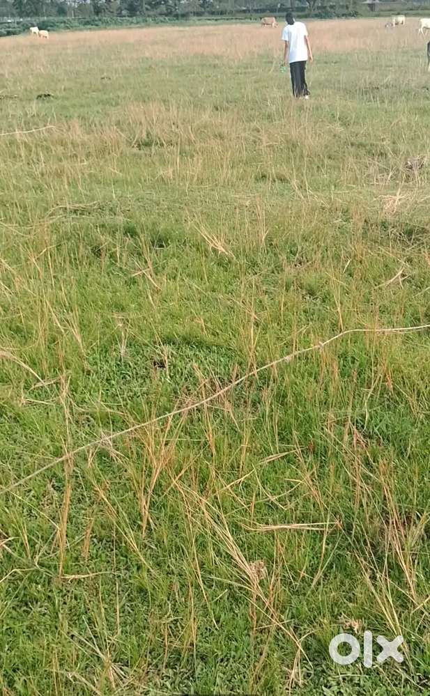 5 Kattha Tribal Land on sale near Medica Cancer Hospital