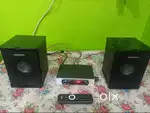 Digital Amplifier Woofer Speaker