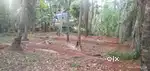 Plot for house