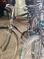 3 mahine purani hai