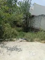 102 gaj plot only 100 metr ashirwad vatika main najafgarh dhansa road