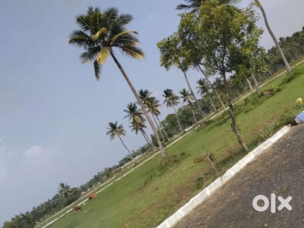Plot for sale in maraimalai nagar