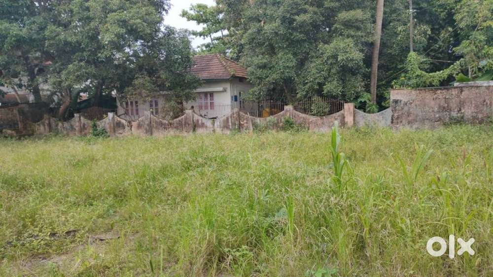 8.600 cents of  commercial plot for sale at  Fort kochi.