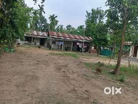 Urgent sale near St savio school Chumukidima