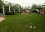 Urgently sale my farmhouse and farmland