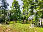 Kochi Aluva  matha theatre near house plot for sale per cent ₹8 lakh