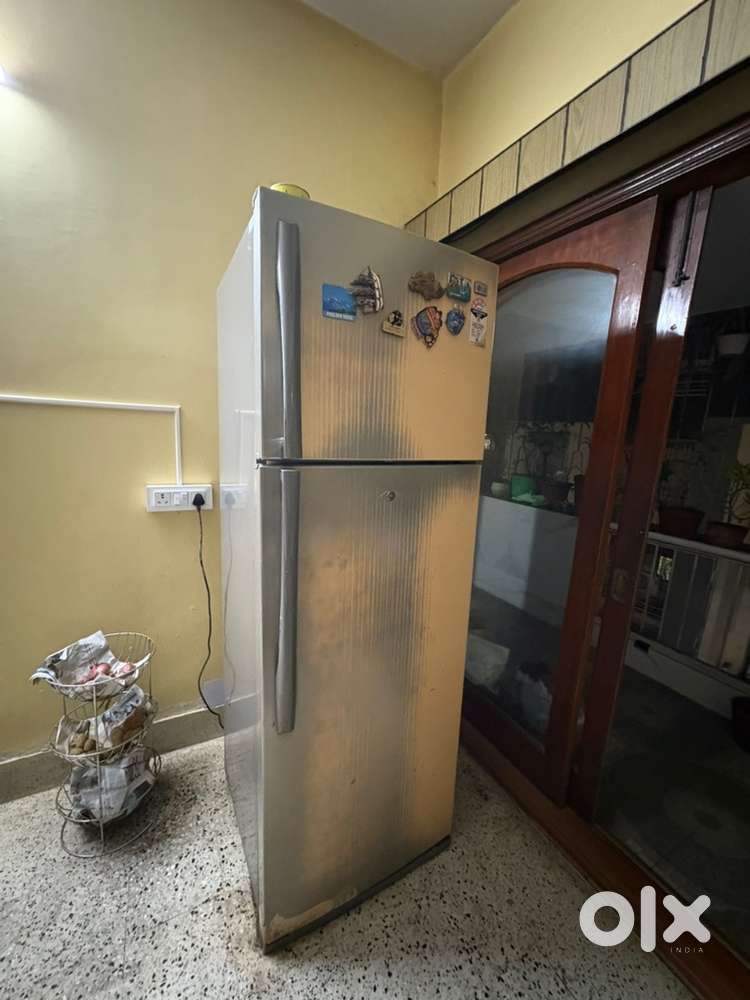 Double Door LG Fridge- 390L