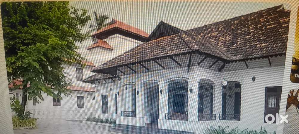 Lady waitress for heritage hotel